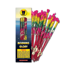 BC #36 Sparkler 6 Pack